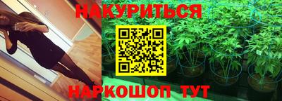 apvp Лесосибирск
