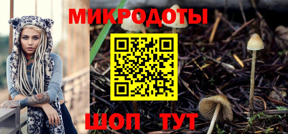 Галлюциногенные грибы Psilocybe Учалы