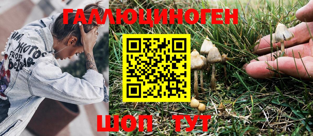 Учалы  Галлюциногенные грибы Psilocybine cubensis  Вход с VPN  Псилоцибиновые грибы Magic Shrooms 